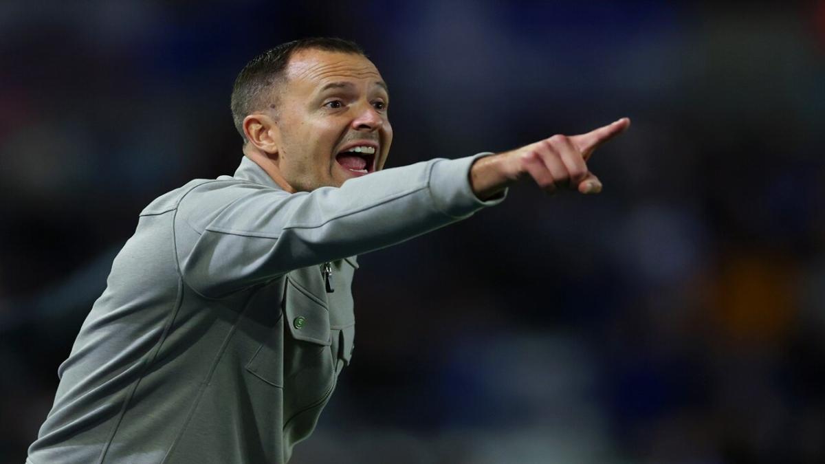 New Birmingham City manager Chris Davies